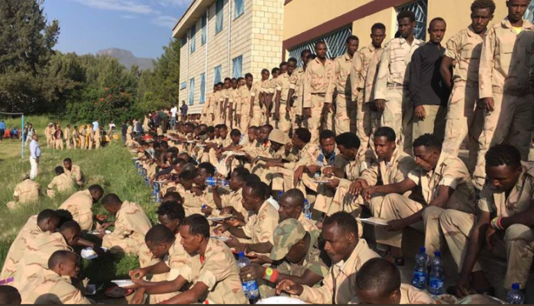 Oromo Liberation Front Soldiers Return To Ethiopia Horn Diplomat