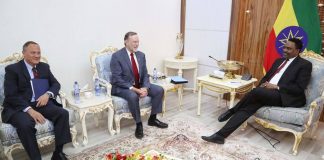 U.S. Assistant Secretary of State for African Affairs: “Horn of Africa is now Hope for Africa”