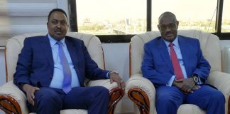 Dr. Workneh Confers with His Sudanese Counterpart