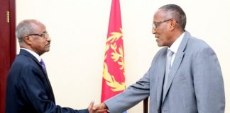 Somaliland,Eritrea vow to strengthen bilateral ties
