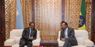 Ethiopia, Somalia Leaders Hold Bilateral Discussion in AddisAbaba