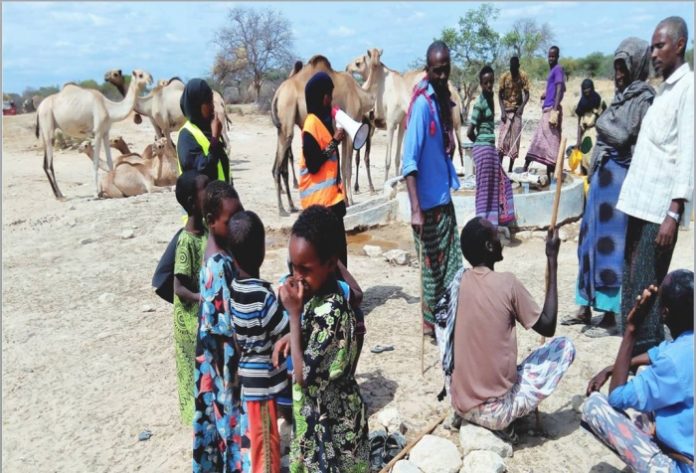 Ethiopia, Somaliland and Puntland jointly plan for the synchronized HoA cross-border polio response Photo credit WHO