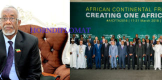 Somaliland FM Arrives in Niger to attend African Union Summit