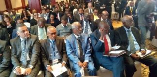 Somaliland opens its doors for Kenyan investors in energy, mining sector