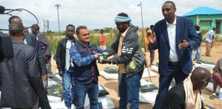Turkey's TİKA Launches Project To Boost Crop Yield In Somaliland