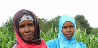 Turkey's TİKA Launches Project To Boost Crop Yield In Somaliland