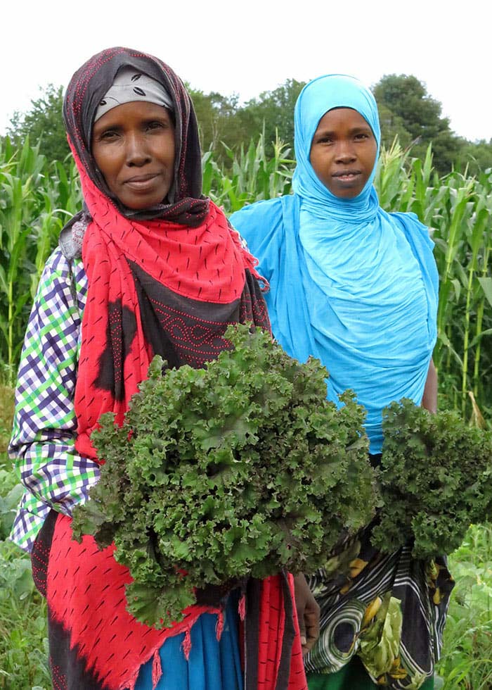 Turkey's TİKA Launches Project To Boost Crop Yield In Somaliland