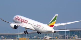 Nation Suspends Partial Privatization Of Ethiopian Airlines
