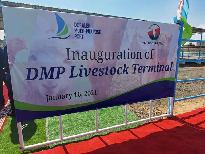 Ethiopia, Djibouti inaugurate Dorale Multi-Purpose Port livestock terminal