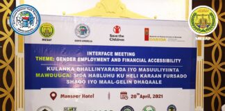Somaliland:Sonyo Hosts Interface Meeting of Gender Employment and Financial Accessibility