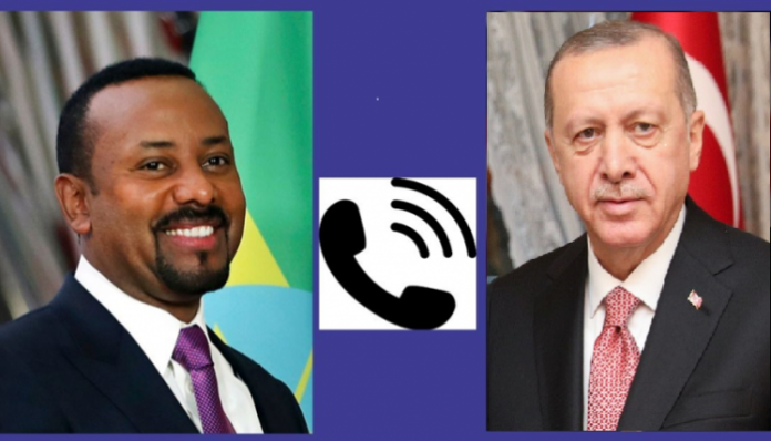 Turkey's Erdoğan discusses bilateral ties with Ethiopian PM Abiy