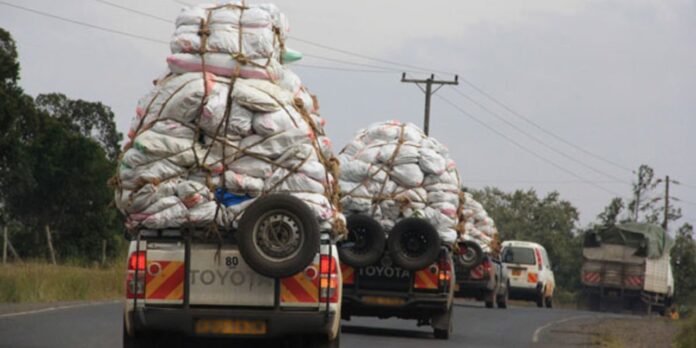 Kenya exported miraa (khat) worth Sh221 million in four days since the resumption of the Somalia market, highlighting the significant role that the commodity is playing in the economy