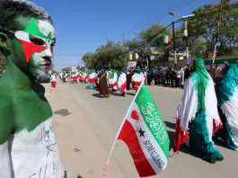 A man with body paint in the colours of the national flag participates in a street parade to celebrate the 24th self-declared independence day for the breakaway Somaliland nation from Somalia in capital Hargeysa, May 18, 2015. REUTERS/Feisal Omar