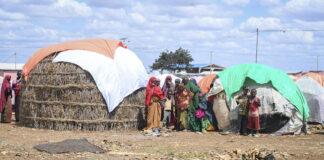 Strategic investments are needed to sustainably improve food and water security for millions of Somalis