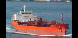 THE CENTRAL PARK SEEN IN A VESSEL FINDER PHOTO.