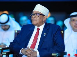 Somaliland President Abdirahman Mohamed Abdilahi Irro Unveils Bold Foreign Policy, Secures UAE Partnership, and Expands Ties with U.S. and U.K