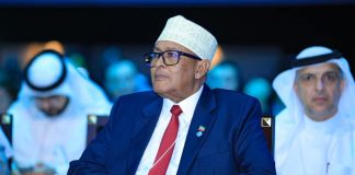 Somaliland President Abdirahman Mohamed Abdilahi Irro Unveils Bold Foreign Policy, Secures UAE Partnership, and Expands Ties with U.S. and U.K