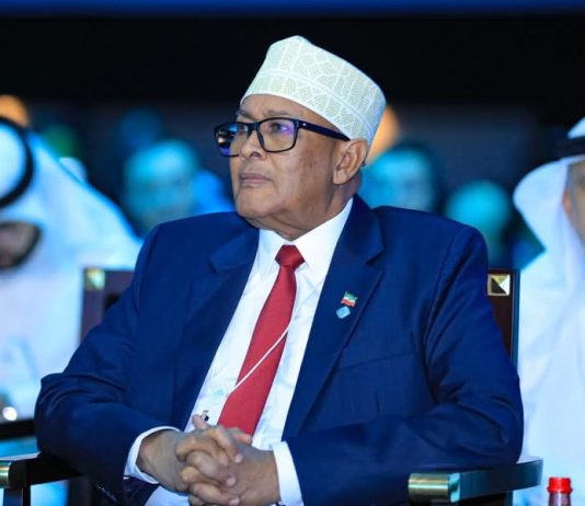 Somaliland President Abdirahman Mohamed Abdilahi Irro Unveils Bold Foreign Policy, Secures UAE Partnership, and Expands Ties with U.S. and U.K
