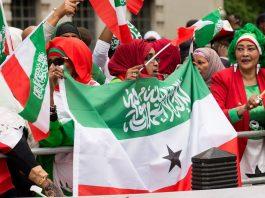 somaliland flag