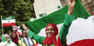 Somaliland flag